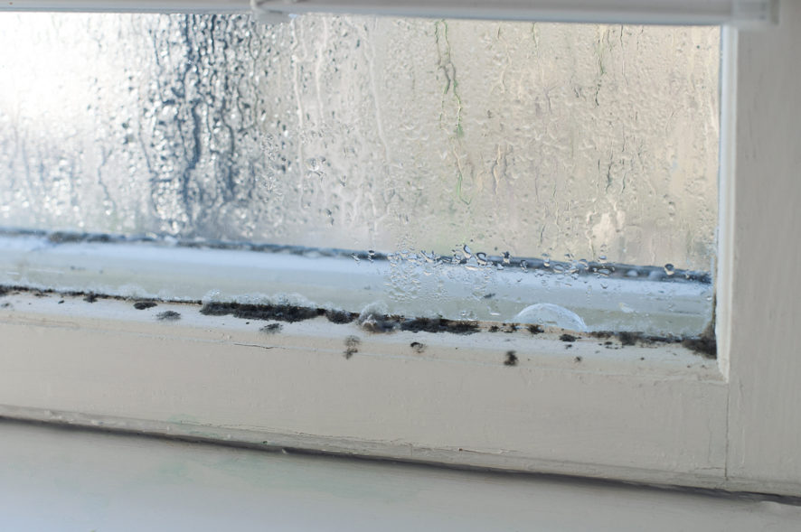 Soluciones eficaces para evitar las humedades por condensación